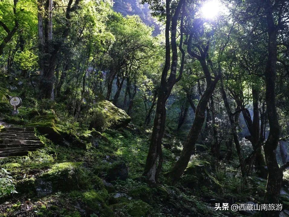 西藏山南好玩的地方_西藏山南几月份去最好_西藏山南旅游季节有哪些