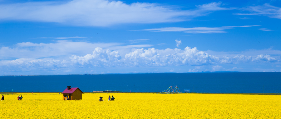 青海最美季节旅游攻略_青海旅游最美的季节_青海最美季节旅游景点