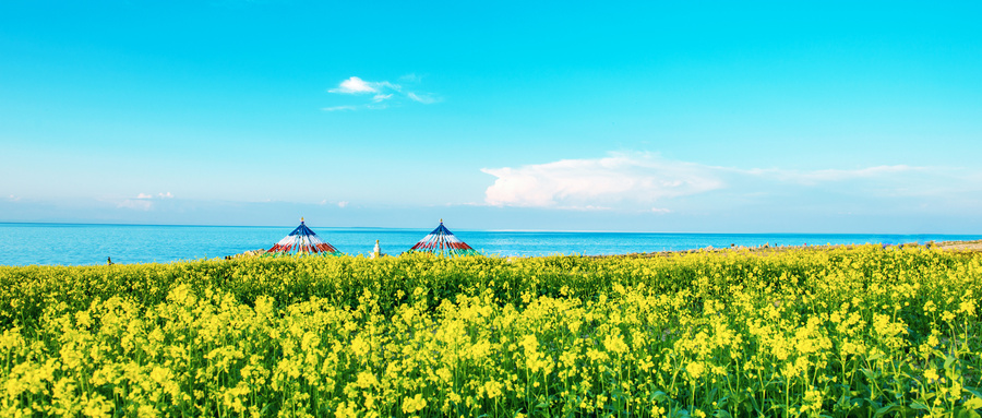 青海最美季节旅游攻略_青海最美季节旅游景点_青海旅游最美的季节