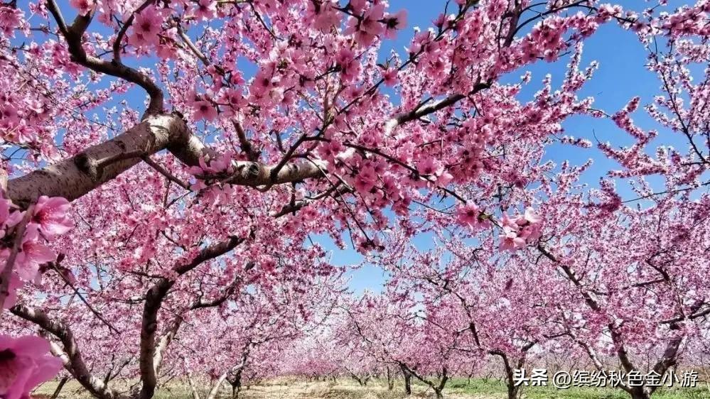 平谷旅游景点门票价格_平谷十一旅游景点_平谷旅游攻略