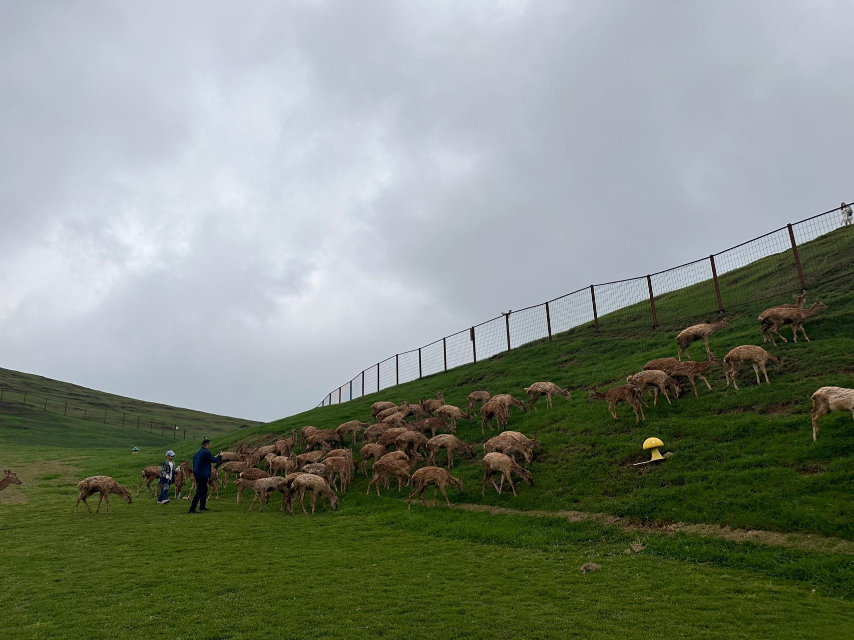 草原生态旅游的特色_特色草原旅游形成因素_如何形成特色草原旅游