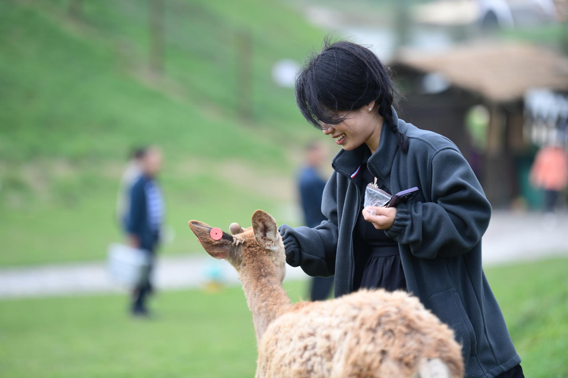 如何形成特色草原旅游_特色草原旅游形成因素_草原生态旅游的特色