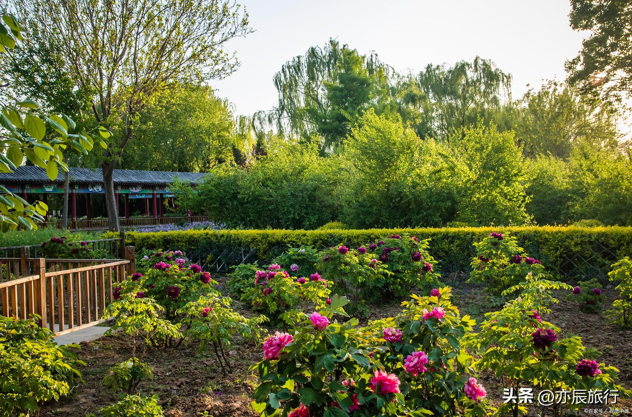 郑州市的旅游景点的分布及特色_郑州旅游特色景点介绍_郑州特色景点景区