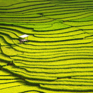 马德里旅游 自由行_马德里游玩_马德里旅游一日游攻略