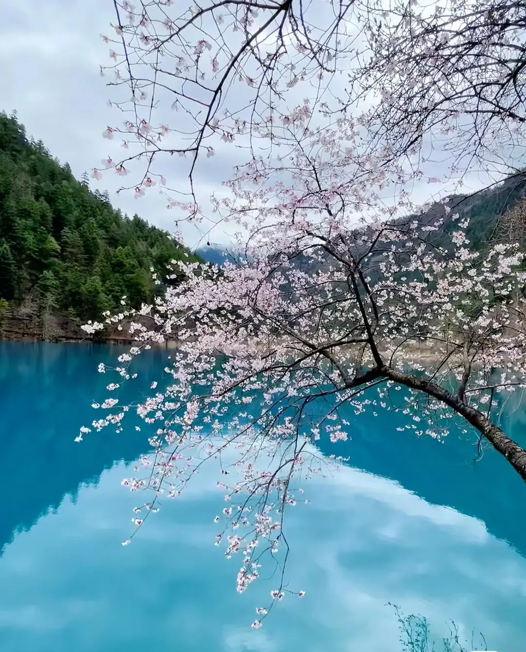 旅游自己去_一个人想去哪旅游方便点_想旅游的地方