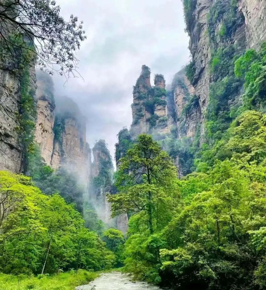 想旅游的地方_一个人想去哪旅游方便点_旅游自己去