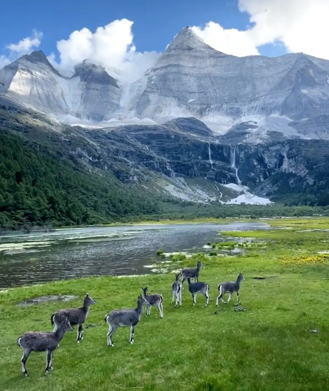 想旅游的地方_旅游自己去_一个人想去哪旅游方便点