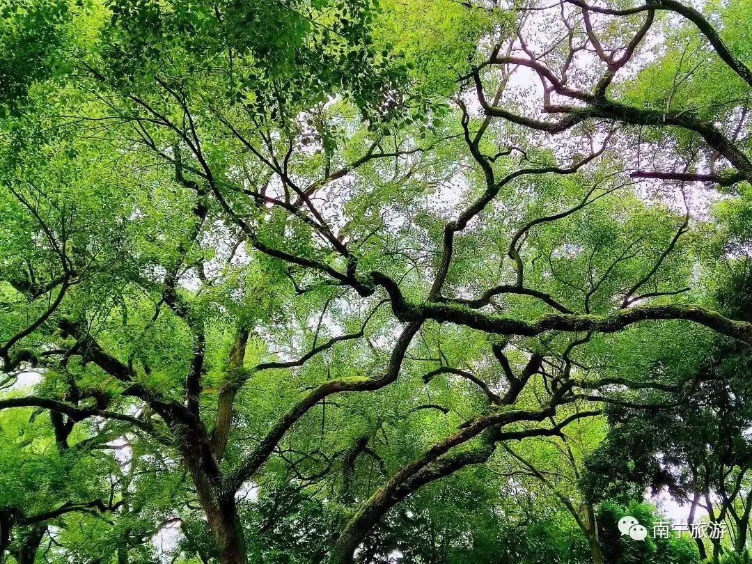 南宁景点地图全图高清版_南宁市旅游景点路线图_南宁景点图片大全