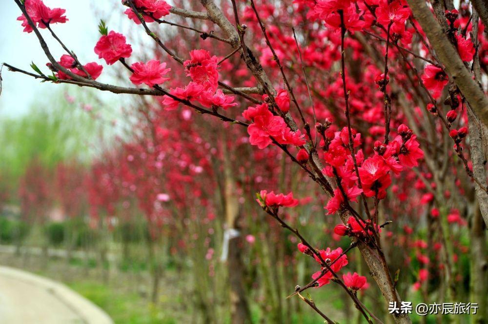 德阳旅游景点大全排名_德阳旅游必去景点_德阳景点旅游景点推荐