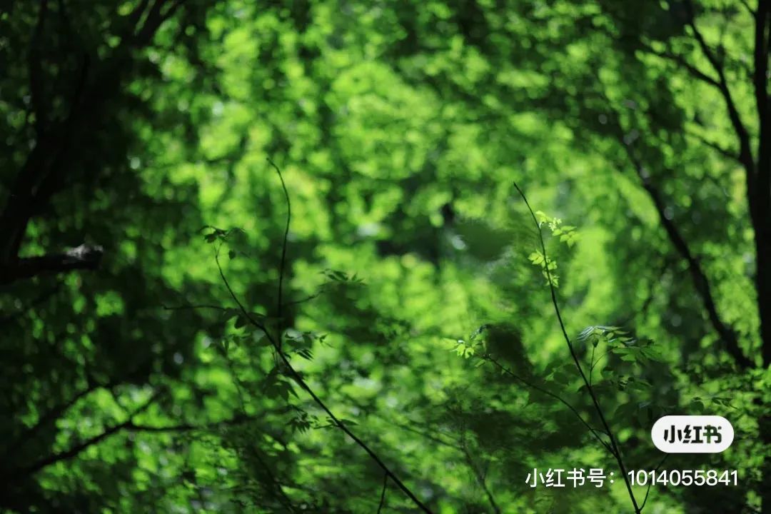 情侣汽车旅游风景_情侣自驾旅行_适合情侣自驾游的车