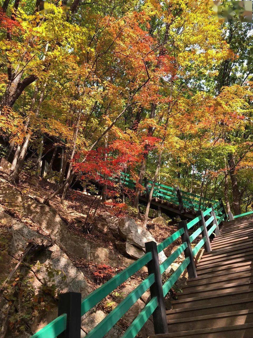 沈阳红色旅游景区_沈阳红色旅游地区在哪_沈阳红色旅游地区名单