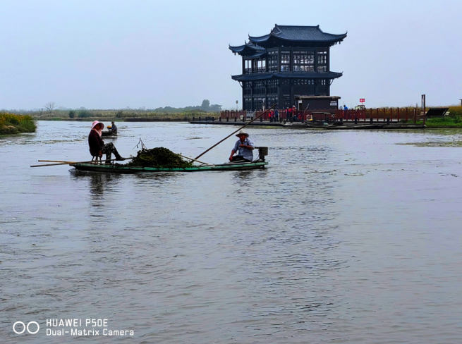 兴化旅游宣传片_兴化新特色旅游_兴化文化旅游