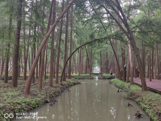 兴化旅游宣传片_兴化文化旅游_兴化新特色旅游