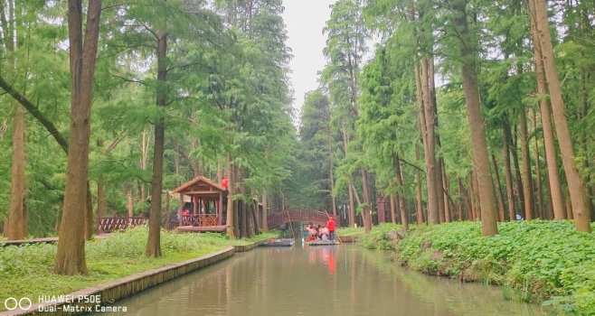 兴化文化旅游_兴化旅游宣传片_兴化新特色旅游