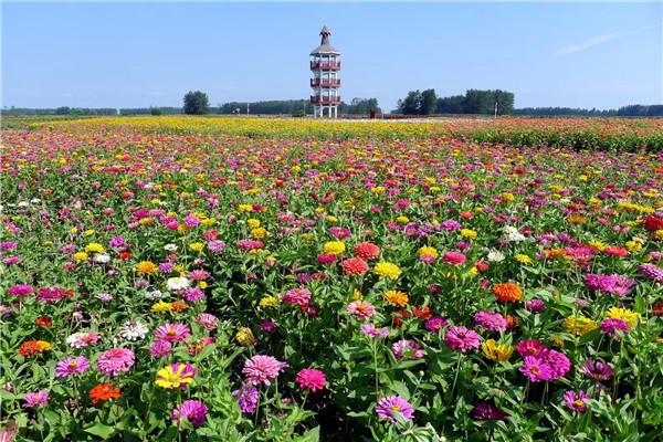 兴化新特色旅游_兴化市旅游_兴化旅游业