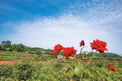 云阳龙缸两日游攻略_云阳龙缸旅游推荐住宿_云阳龙缸住宿哪儿好