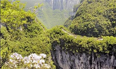 云阳龙缸两日游攻略_云阳龙缸旅游推荐住宿_云阳龙缸住宿哪儿好