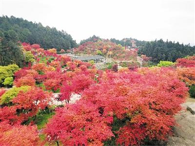 云阳龙缸两日游攻略_云阳龙缸旅游推荐住宿_云阳龙缸住宿哪儿好