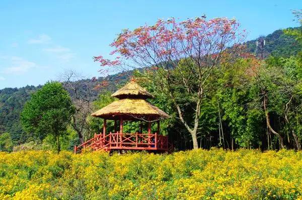 广州情侣游玩_广州情侣一日游_广州小情侣旅游