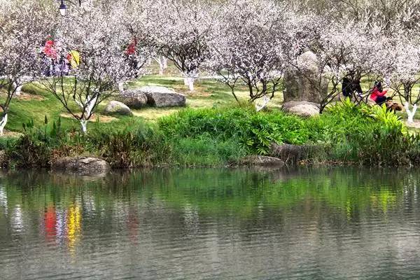 广州情侣一日游_广州情侣游玩_广州小情侣旅游