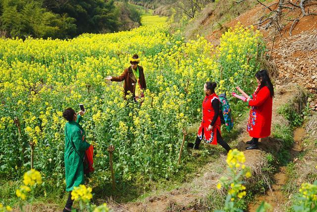 徽州什么季节旅游最好_季节徽州旅游好玩吗_徽州旅游最佳时间