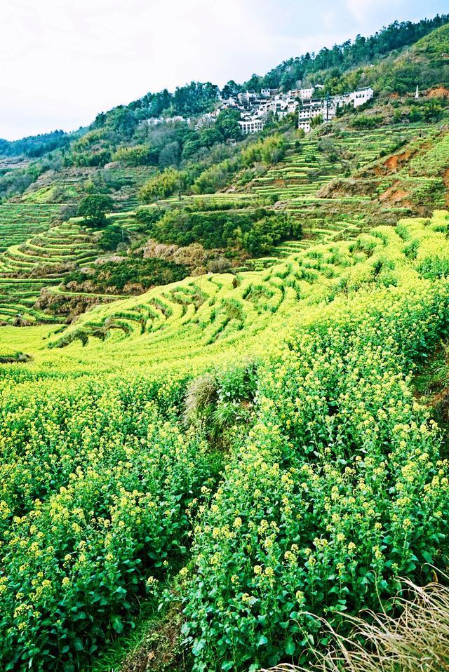 季节徽州旅游好玩吗_徽州什么季节旅游最好_徽州旅游最佳时间