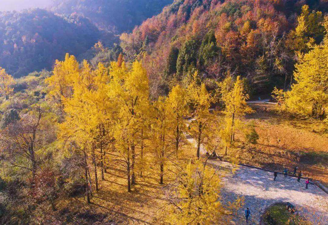 绍兴景点旅游好玩的地方_绍兴景点旅游好玩吗_绍兴旅游景点哪里好