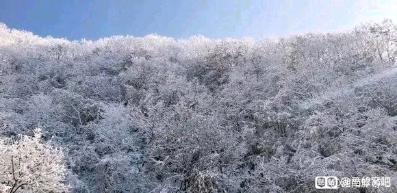 免费旅游群套路_旅行套路_群里套路