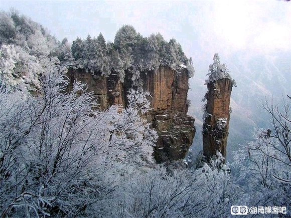 群里套路_免费旅游群套路_旅行套路