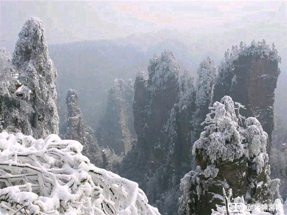 旅行套路_群里套路_免费旅游群套路