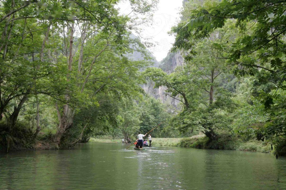 暑假去云南旅游家庭_暑假云南旅游家庭去哪里玩_2021年暑假去云南旅游