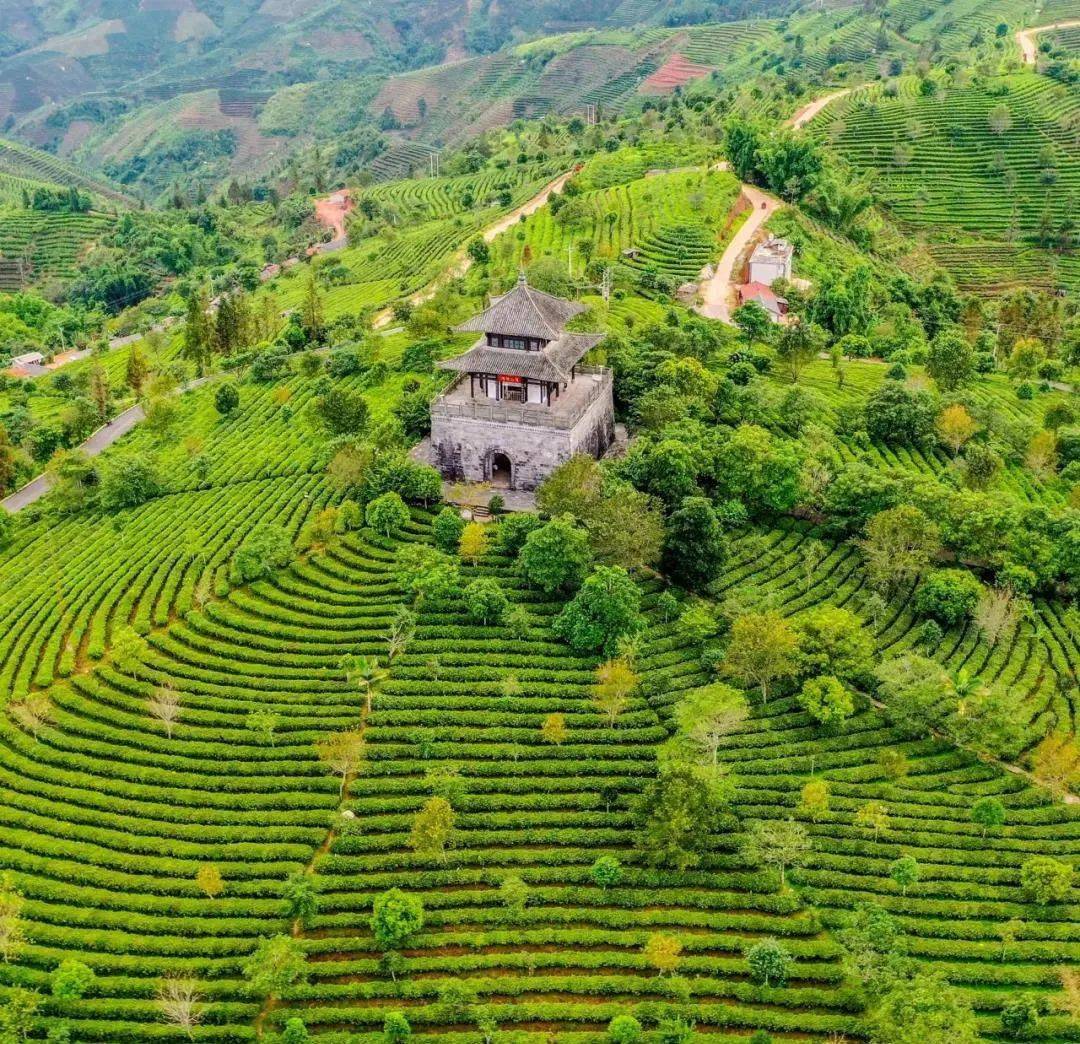 2021年暑假去云南旅游_暑假云南旅游家庭去哪里玩_暑假去云南旅游家庭