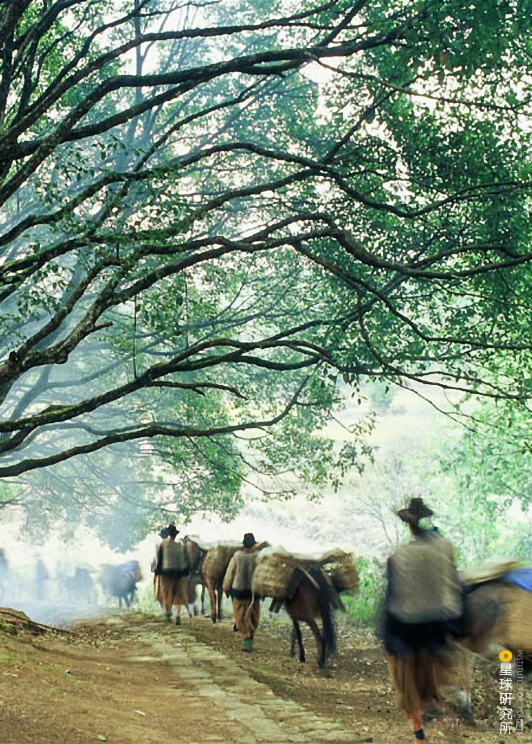 东南亚富有魅力的旅游名胜有_东南亚民族特色旅游城市有哪些_东南亚旅游城市民族特色