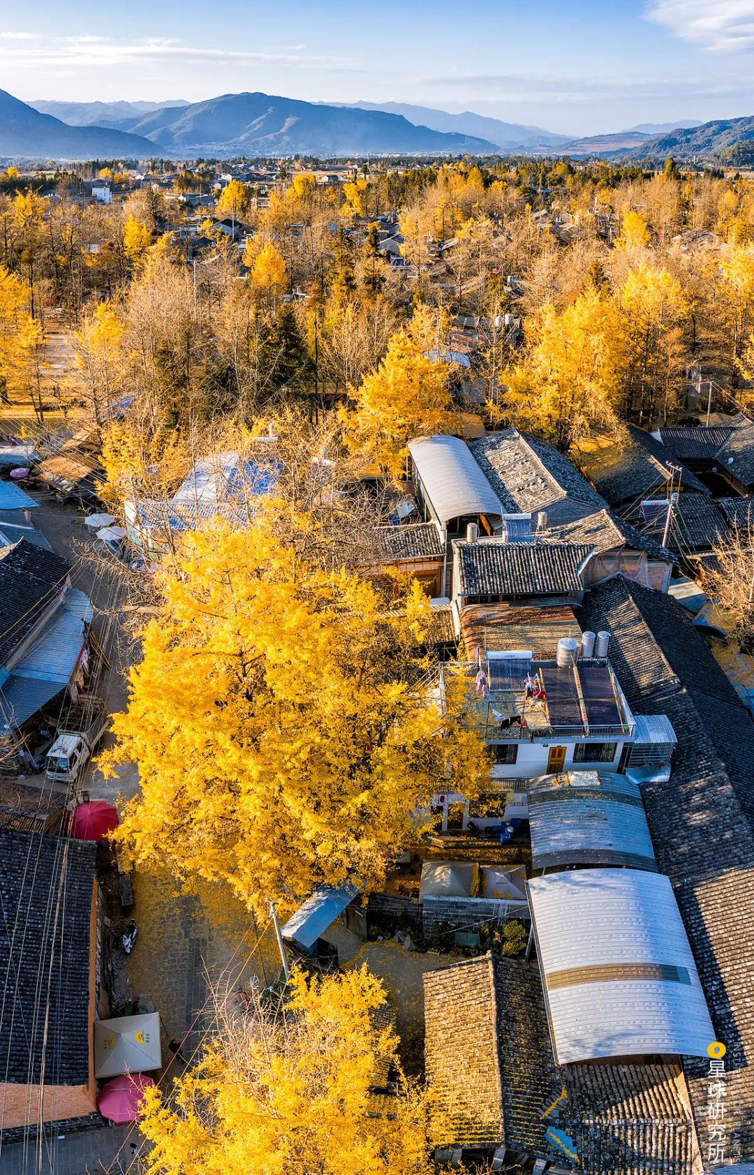 东南亚民族特色旅游城市有哪些_东南亚旅游城市民族特色_东南亚富有魅力的旅游名胜有