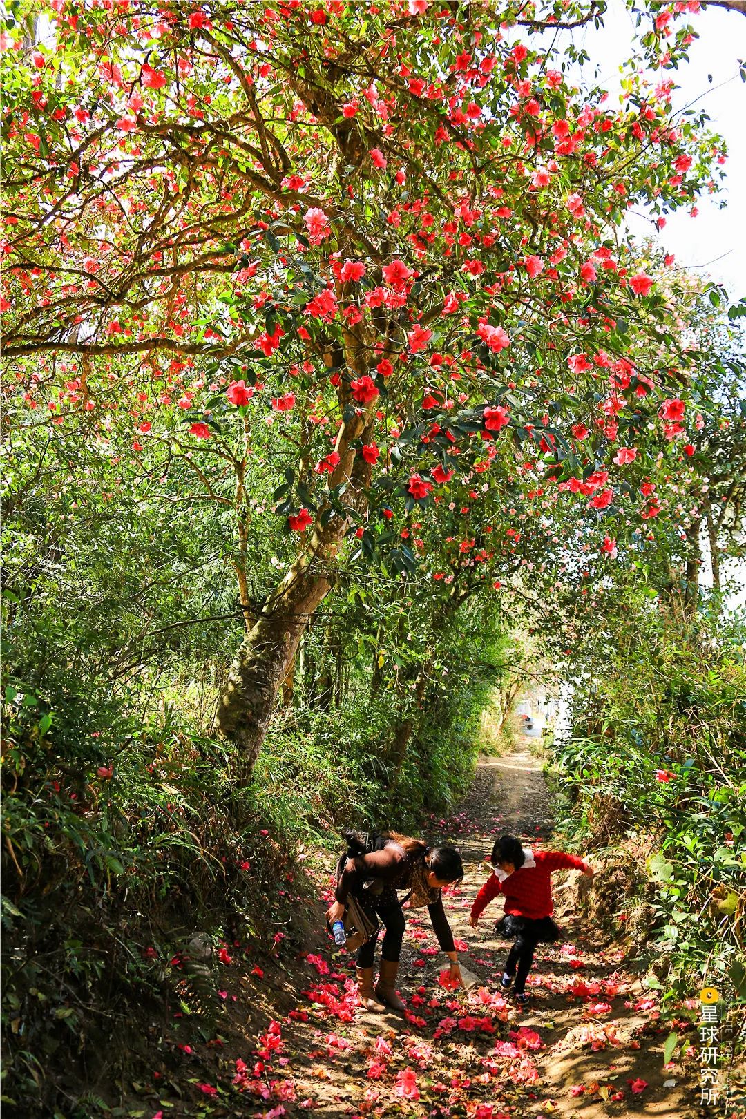 东南亚旅游城市民族特色_东南亚民族特色旅游城市有哪些_东南亚富有魅力的旅游名胜有