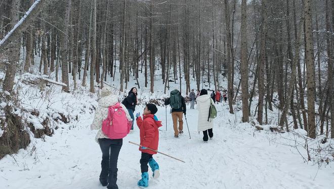 旅程同行旅行社管理软件_同程旅游行程图_同程旅行小游戏