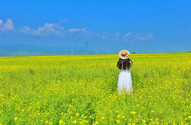 甘肃旅游自由行游记_甘肃旅游自由行攻略_甘肃10日自由行旅游