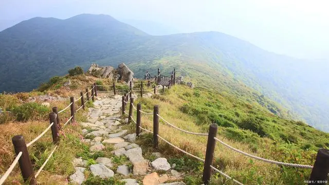 咸宁草原_咸宁草海在哪里_咸宁草海旅游景点