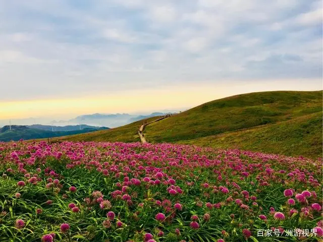 咸宁草原_咸宁草海旅游景点_咸宁最近的海边