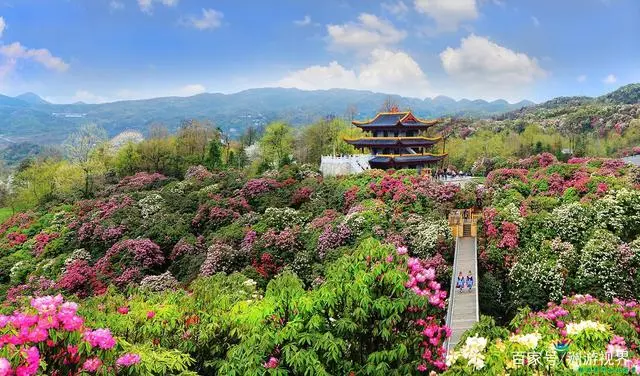 咸宁最近的海边_咸宁草原_咸宁草海旅游景点