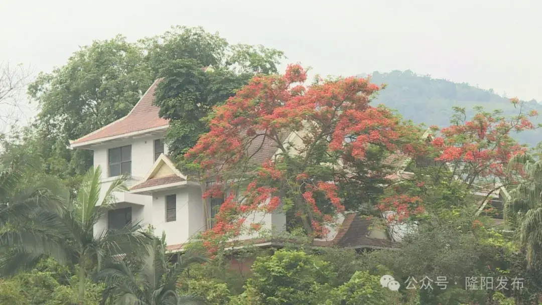 新闻旅游_民族文化旅游村_民族旅游特色村新闻