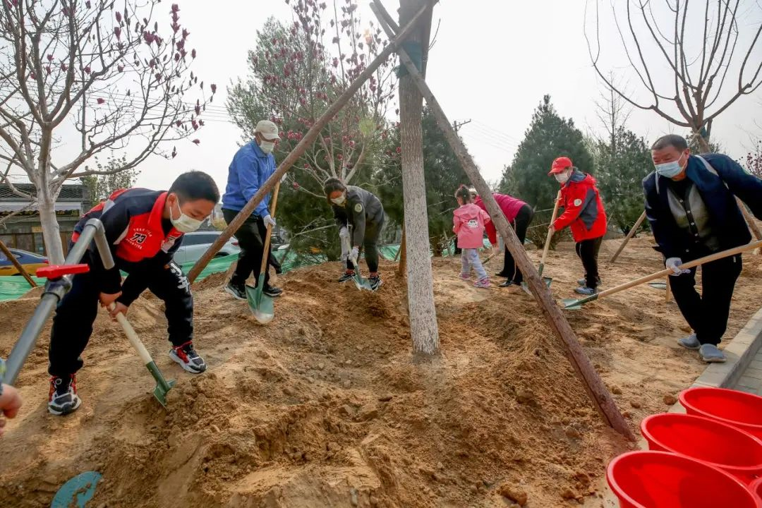 北京市民参加义务植树（图片提供：北京市园林绿化局）