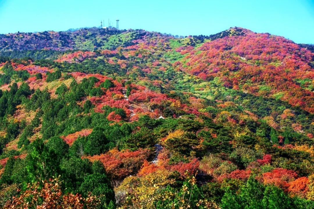 西山国家森林公园秋景（图片提供：北京市园林绿化局）