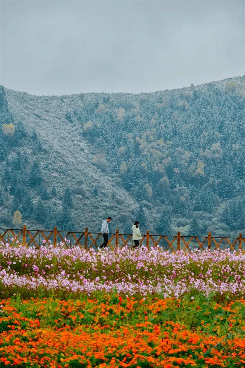 昭苏县游玩_昭苏旅游_昭苏县有哪些旅游景点