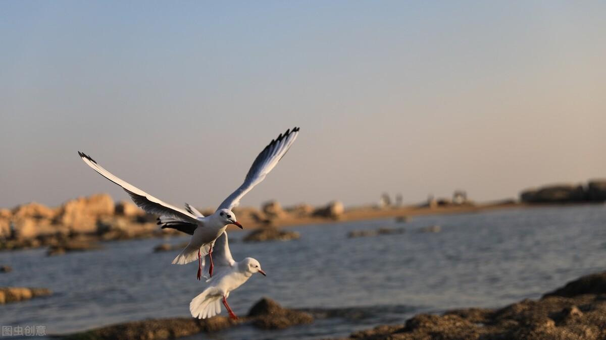 河北省十大旅游景点大全_河北省的旅游景点大全_河北旅游景点大全介绍排名