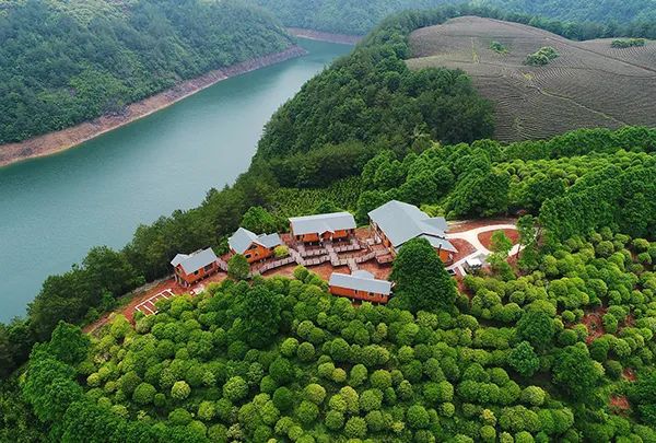 仙居乡村旅游目的地_仙居特色农业旅游_仙居农业观光园