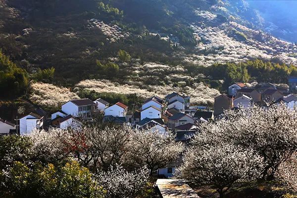 仙居特色农业旅游_仙居农业观光园_仙居乡村旅游目的地