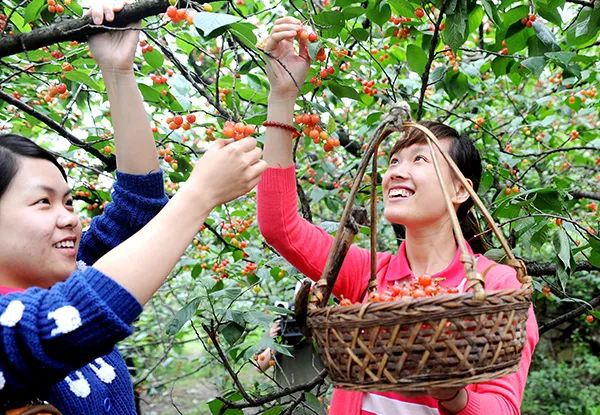 仙居特色农业旅游_仙居农业观光园_仙居乡村旅游目的地