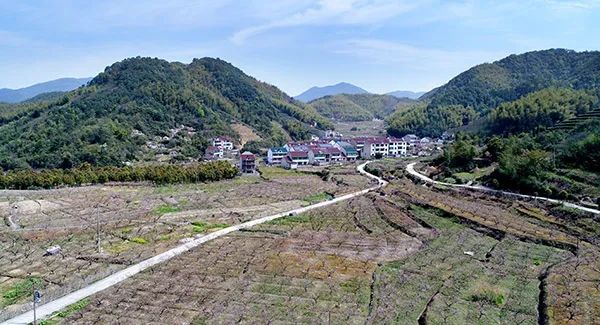 仙居乡村旅游目的地_仙居特色农业旅游_仙居农业观光园