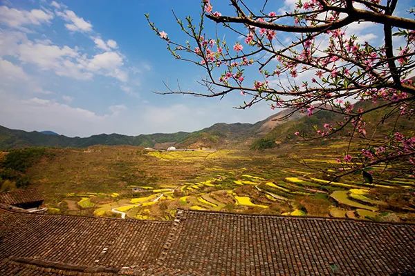 仙居农业观光园_仙居乡村旅游目的地_仙居特色农业旅游